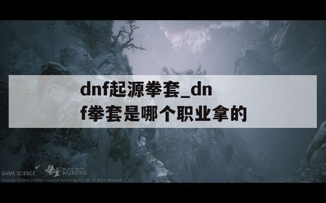 dnf起源拳套_dnf拳套是哪个职业拿的
