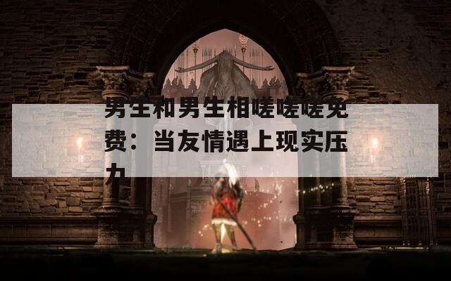 男生和男生相嗟嗟嗟免费：当友情遇上现实压力