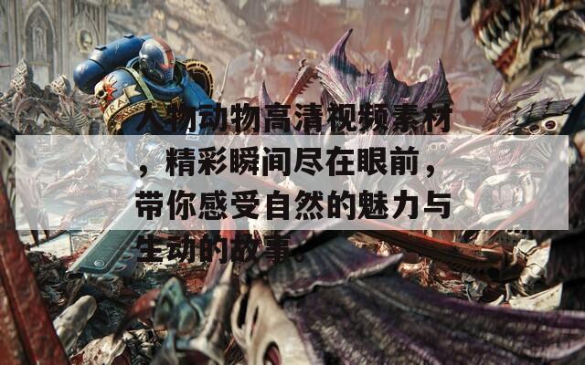 人物动物高清视频素材，精彩瞬间尽在眼前，带你感受自然的魅力与生动的故事。
