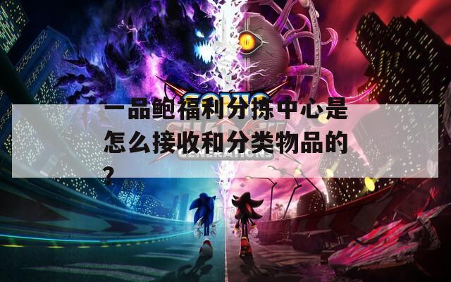 一品鲍福利分拣中心是怎么接收和分类物品的？
