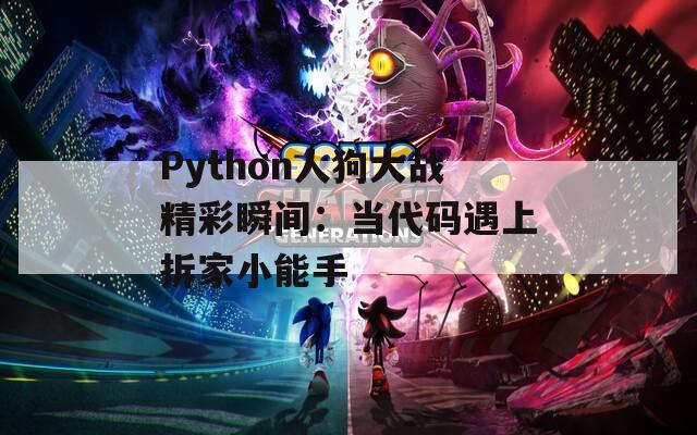 Python人狗大战精彩瞬间：当代码遇上拆家小能手