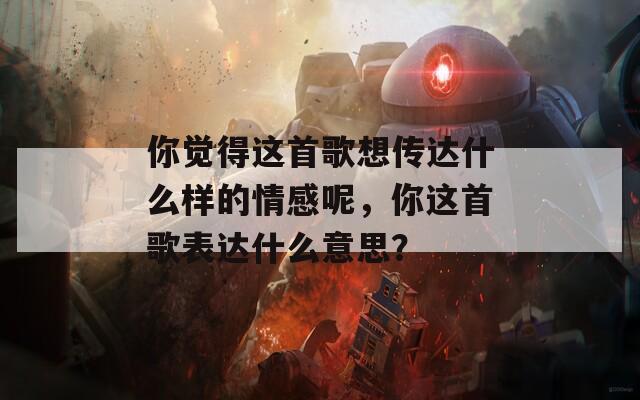 你觉得这首歌想传达什么样的情感呢，你这首歌表达什么意思？