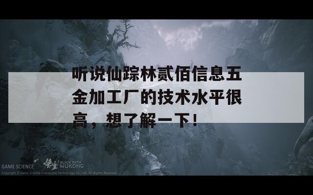听说仙踪林贰佰信息五金加工厂的技术水平很高，想了解一下！