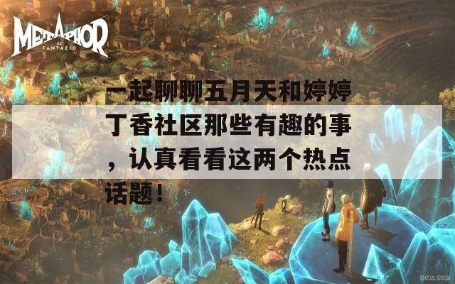 一起聊聊五月天和婷婷丁香社区那些有趣的事，认真看看这两个热点话题！
