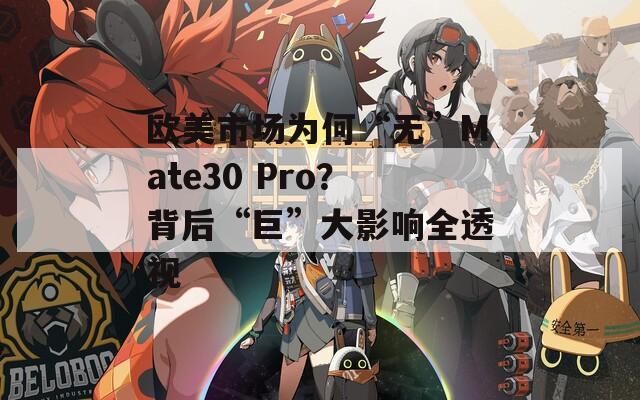 欧美市场为何“无”Mate30 Pro？背后“巨”大影响全透视