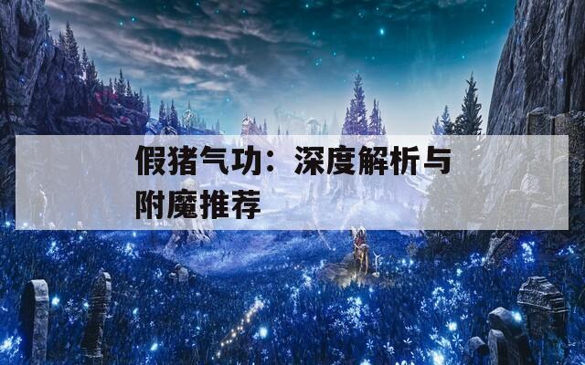 假猪气功：深度解析与附魔推荐