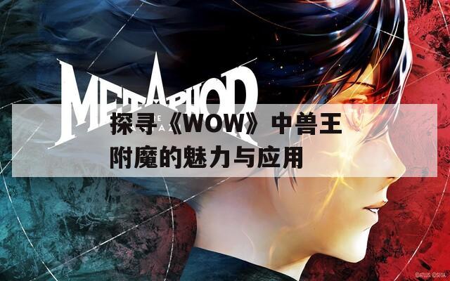 探寻《WOW》中兽王附魔的魅力与应用
