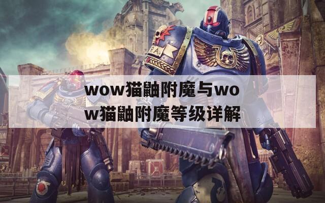 wow猫鼬附魔与wow猫鼬附魔等级详解