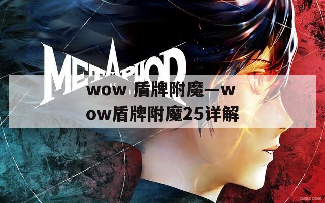 wow 盾牌附魔—wow盾牌附魔25详解