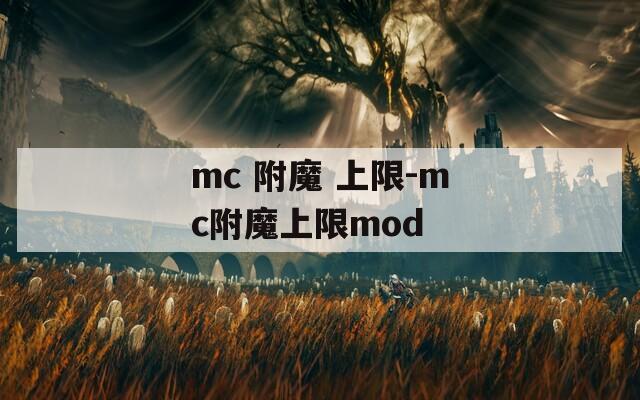 mc 附魔 上限-mc附魔上限mod