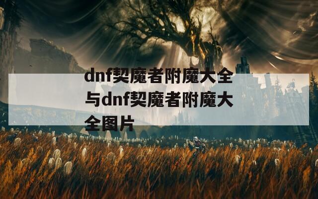 dnf契魔者附魔大全与dnf契魔者附魔大全图片