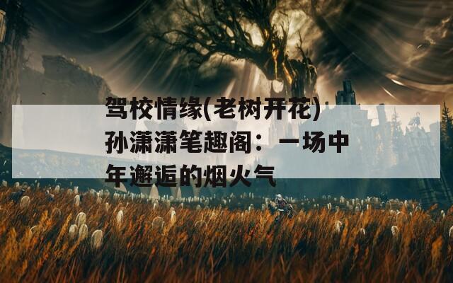 驾校情缘(老树开花)孙潇潇笔趣阁：一场中年邂逅的烟火气
