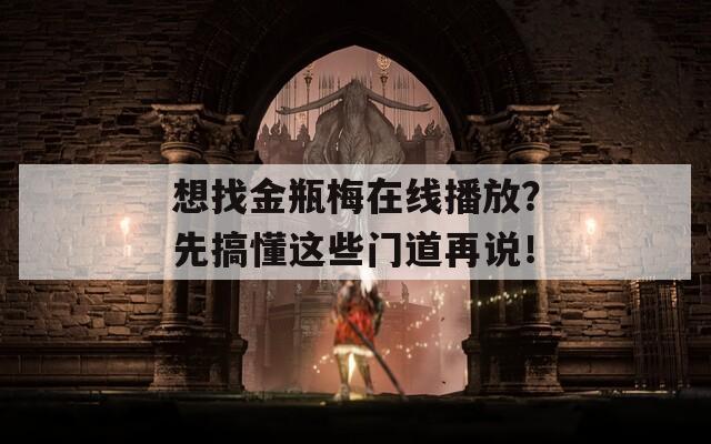 想找金瓶梅在线播放？先搞懂这些门道再说！