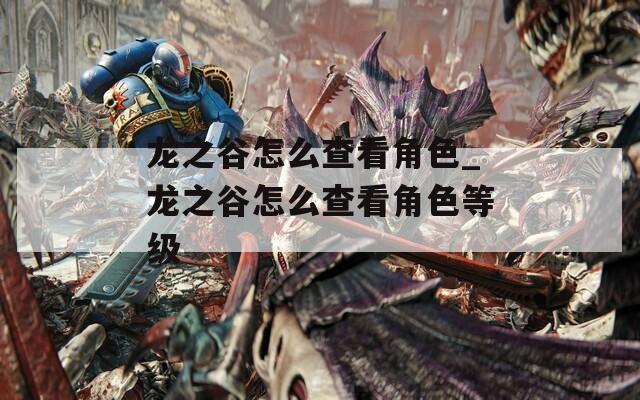 龙之谷怎么查看角色_龙之谷怎么查看角色等级