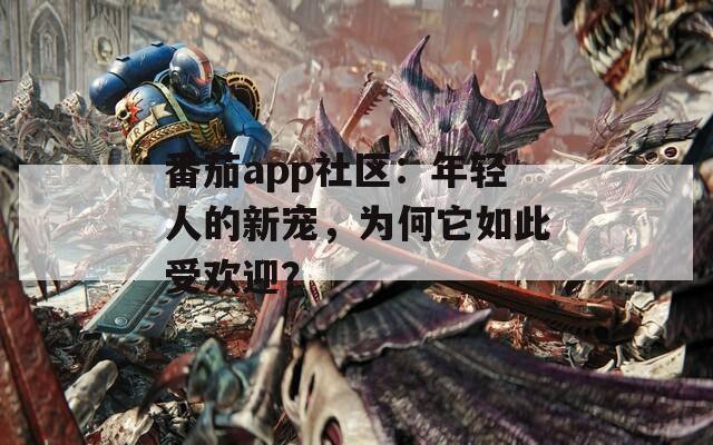 番茄app社区：年轻人的新宠，为何它如此受欢迎？