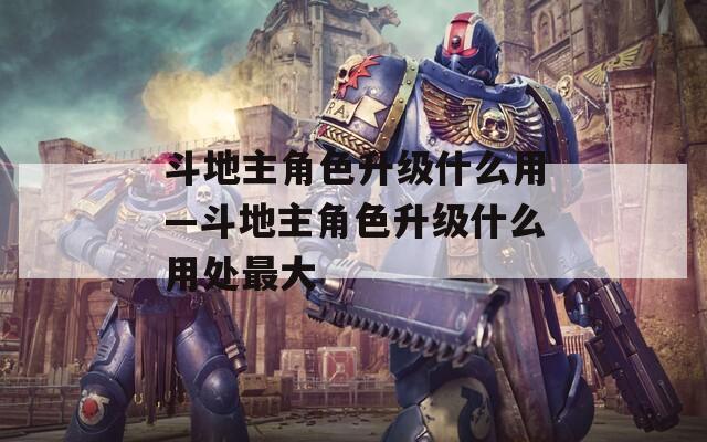 斗地主角色升级什么用—斗地主角色升级什么用处最大