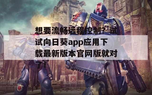想要流畅远程控制？试试向日葵app应用下载最新版本官网版就对了！