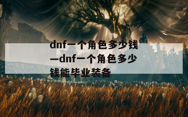 dnf一个角色多少钱—dnf一个角色多少钱能毕业装备